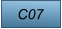 C07
