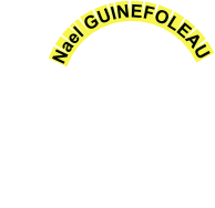 Nael GUINEFOLEAU