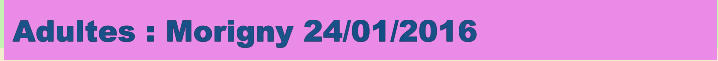 Adultes : Morigny 24/01/2016
